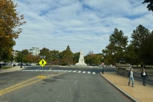 Mini Grand Tour af Washington DC