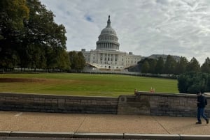 Mini Grand Tour af Washington DC