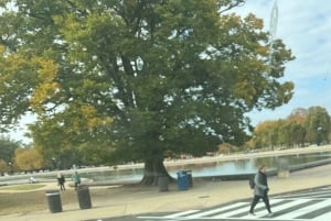Mini Grand Tour af Washington DC