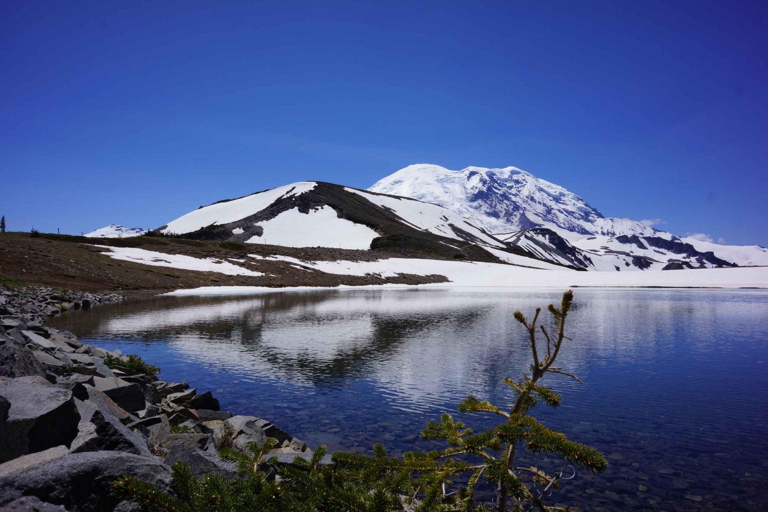 Monte Rainier: Escursione di un giorno in montagna