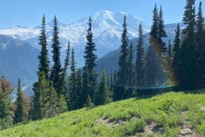 Monte Rainier: Escursione di un giorno in montagna