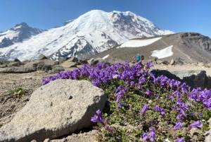 Monte Rainier: Escursione di un giorno in montagna
