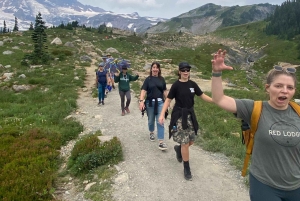 マウント・レーニア貸切グループ、快適なSUV