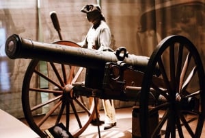 Smithsonian Museum of American History Semi-privat 8 personer max