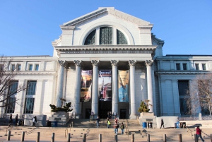 Smithsonianin luonnontieteellisen museon puoliyksityinen kierros 8 hengelle