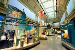 Smithsonianin luonnontieteellisen museon puoliyksityinen kierros 8 hengelle