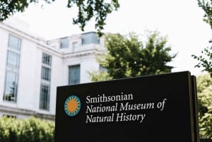 Smithsonianin luonnontieteellisen museon puoliyksityinen kierros 8 hengelle