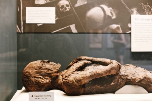 Smithsonianin luonnontieteellisen museon puoliyksityinen kierros 8 hengelle