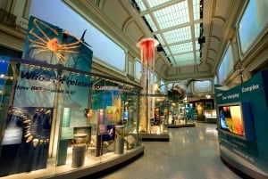 Smithsonianin luonnontieteellisen museon puoliyksityinen kierros 8 hengelle