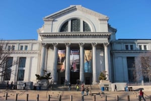 Smithsonianin luonnontieteellinen museo + Amerikan historian museo 8 sivua