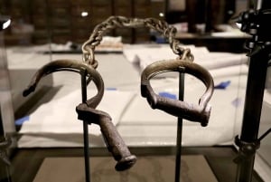 Smithsonianin luonnontieteellinen museo + Amerikan historian museo 8 sivua