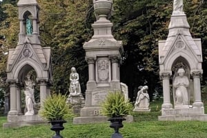 Из Нью-Йорка: однодневная поездка в Вашингтон, округ Колумбия, с трансферами
