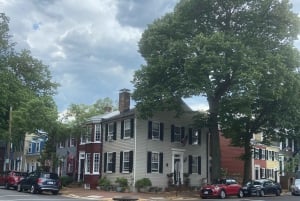 Old Town Alexandria: tour guidato a piedi con una guida locale