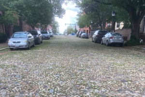 Old Town Alexandria: tour guidato a piedi con una guida locale