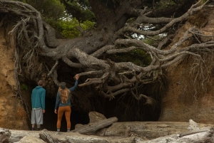 Privat heldagstur og vandretur i Olympic