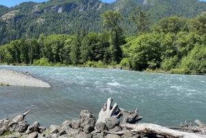 オリンピック国立公園: 半日ツアー