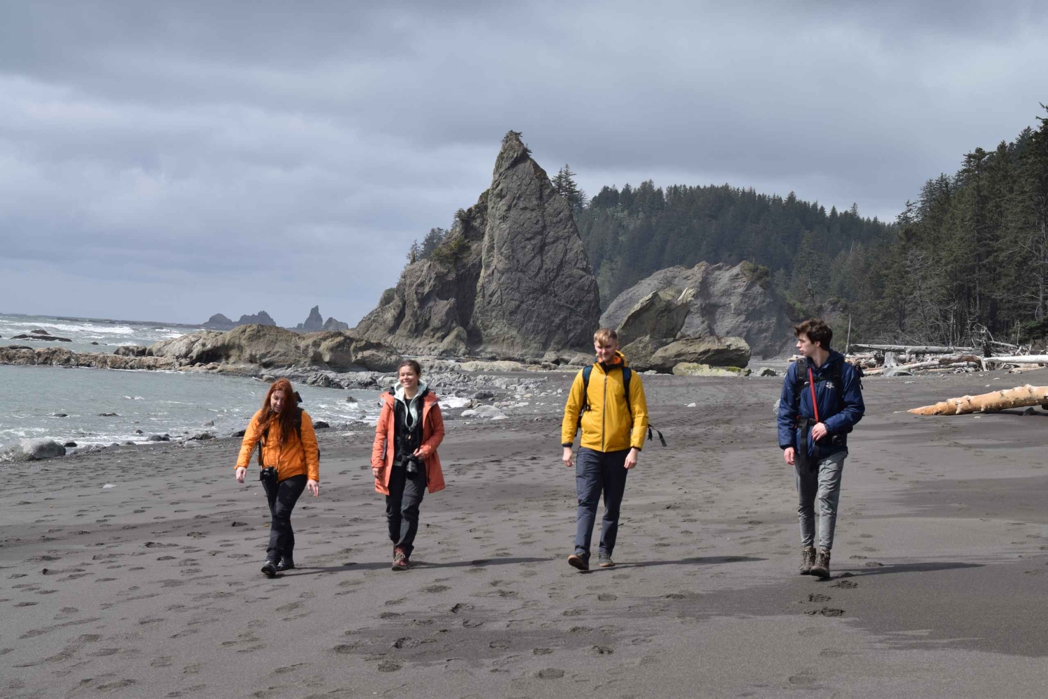 Parc national olympique : Visite de la forêt tropicale de Hoh et de la plage de Rialto