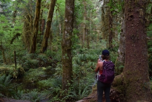 Parc national olympique : Visite de la forêt tropicale de Hoh et de la plage de Rialto