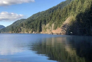 Visite d'une journée en petit groupe du parc national olympique avec traversée en ferry