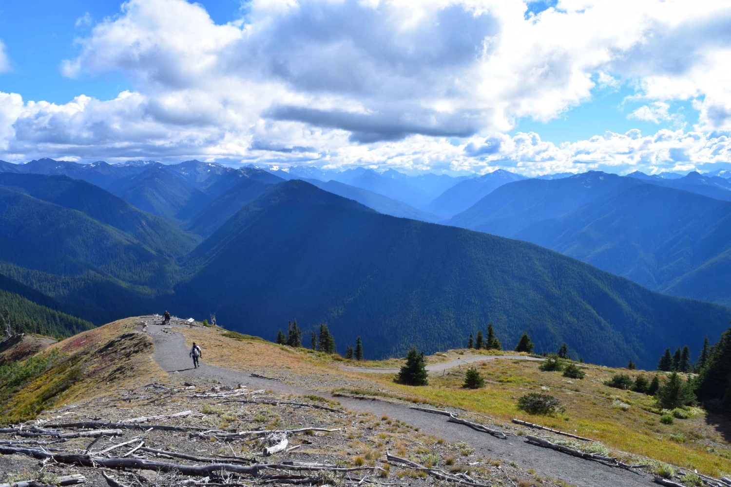 Parque Nacional Olympic: excursão às Cascatas de Sol Duc e Hurricane Ridge