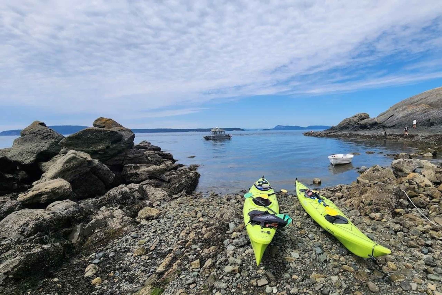 Wyspa Orcas: wycieczka kajakowa z obserwacją dzikiej przyrody