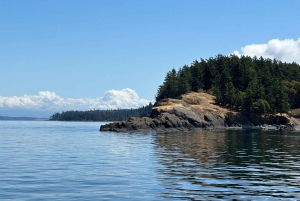 Wyspa Orcas: wycieczka kajakowa z obserwacją dzikiej przyrody