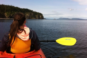 Wyspa Orcas: wycieczka kajakowa z obserwacją dzikiej przyrody