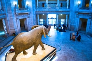 Visite privée à pied pour les familles à Washington