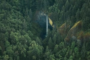 Portland: excursión aérea panorámica por las cascadas del desfiladero del Columbia