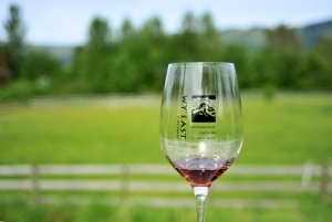 Portland: Excursão de um dia ao Columbia Gorge Wine and Waterfalls