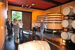 Portland: Excursão de um dia ao Columbia Gorge Wine and Waterfalls