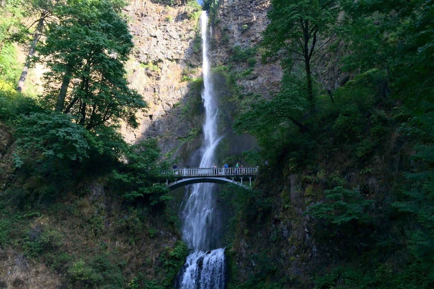 Portland: Columbia River Gorge 3 tunnin pienryhmäretki