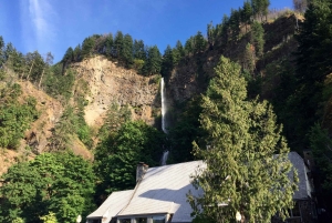 Portland: Columbia River Gorge 3 tunnin pienryhmäretki