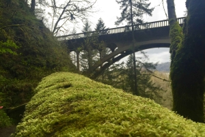 Portland: Columbia River Gorge 3 tunnin pienryhmäretki