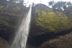 Portland: Columbia River Gorge 3 tunnin pienryhmäretki