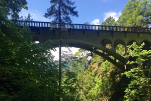 Portland: Columbia River Gorge 3 tunnin pienryhmäretki