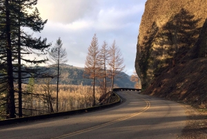 Portland: Columbia River Gorge 3 tunnin pienryhmäretki