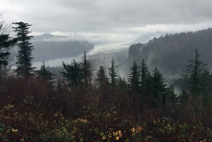 Portland: Columbia River Gorge 3 tunnin pienryhmäretki