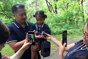 Portland: Columbia River Gorge 3 tunnin pienryhmäretki