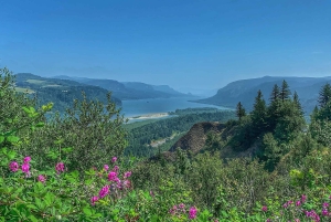 Portland: Eftermiddagstur med vattenfall i Columbia River Gorge