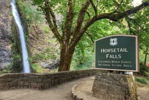 Portland: Eftermiddagstur med vattenfall i Columbia River Gorge