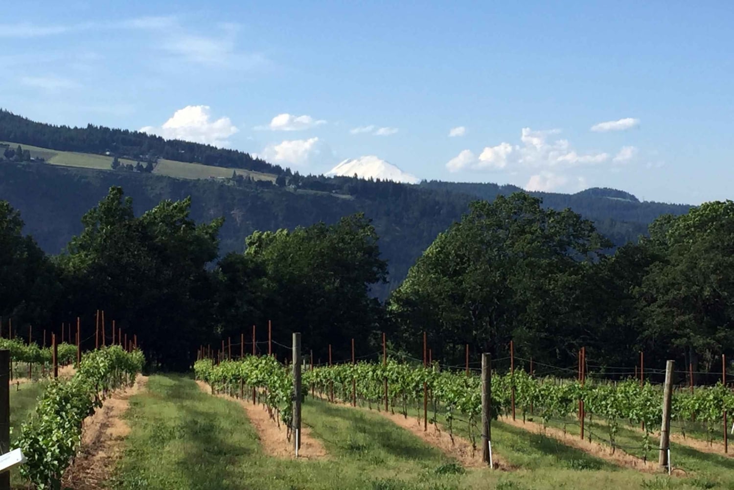 Portland: Excursão de 1 dia ao Mount Hood Wine and Waterfalls