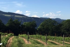 Portland: Excursão de 1 dia ao Mount Hood Wine and Waterfalls