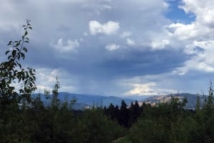 Portland: Excursão de 1 dia ao Mount Hood Wine and Waterfalls