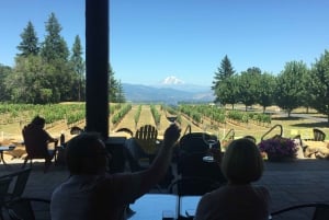 Portland: Excursão de 1 dia ao Mount Hood Wine and Waterfalls