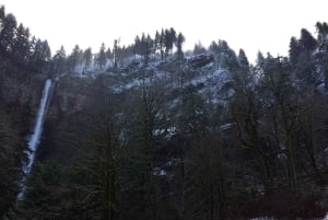 Portland: Excursão de 1 dia ao Mount Hood Wine and Waterfalls