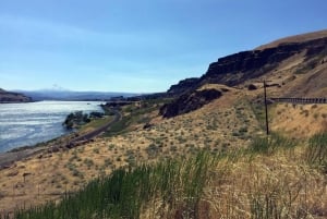 Portland: Excursão de 1 dia ao Mount Hood Wine and Waterfalls