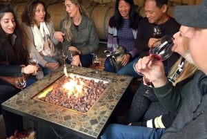 Portland: Excursão de 1 dia ao Mount Hood Wine and Waterfalls