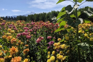 Portland: Hoodin päiväretki