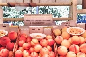 Portland: Hoodin päiväretki